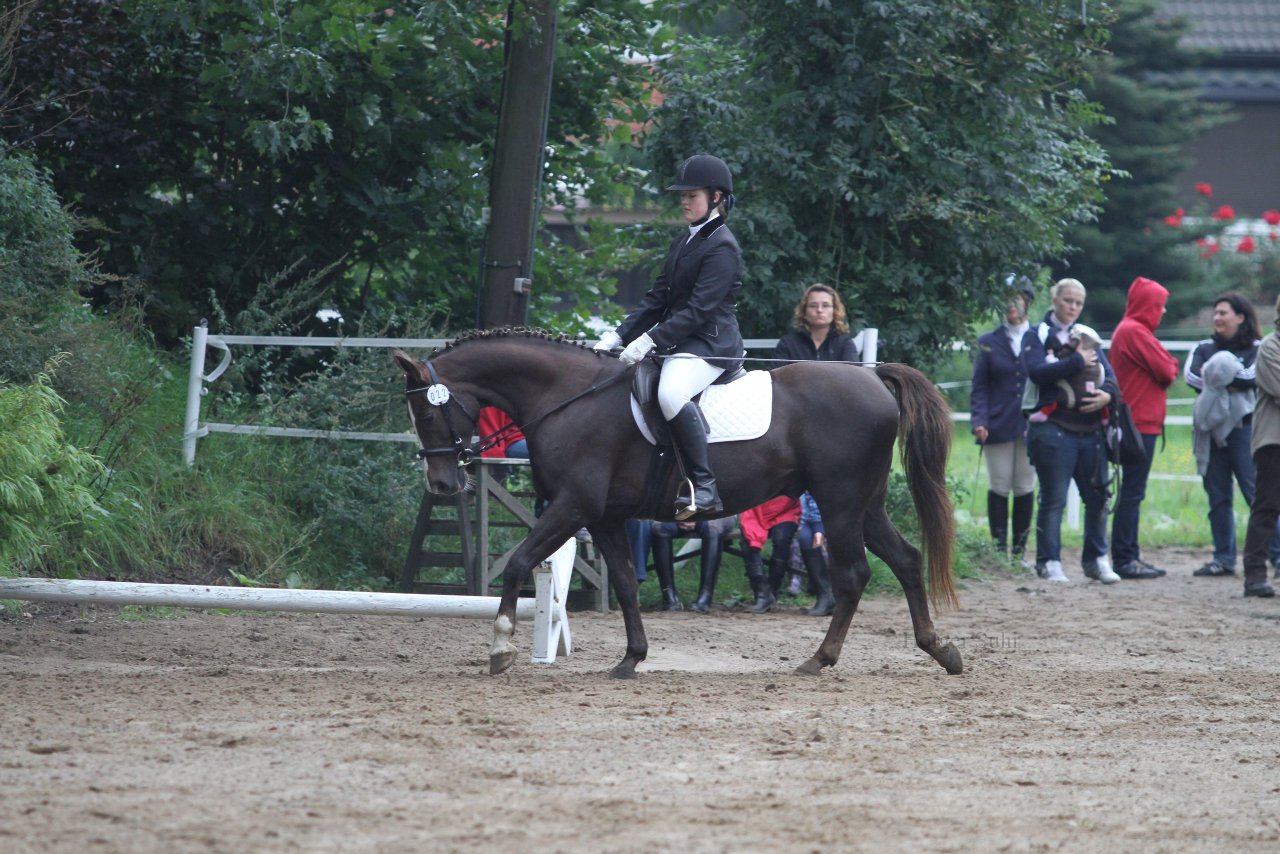 Bild 463 - WBO-Turnier am 18.9.11